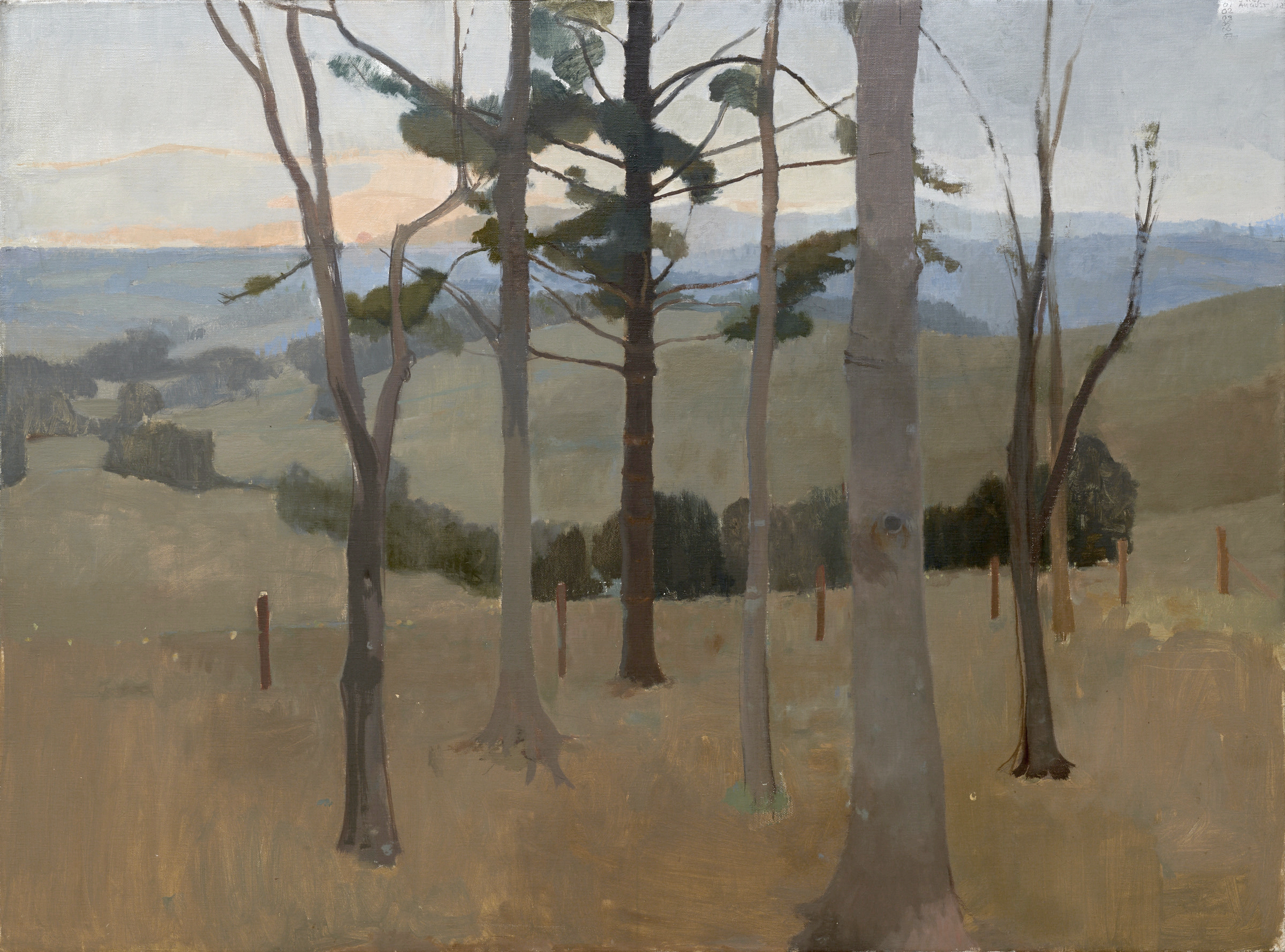 The Grove, 2019